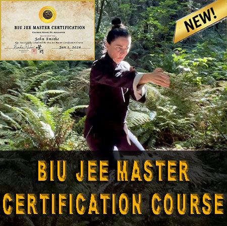 Biu Jee Master Certification Course