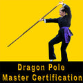Dragon Pole Master Certification Course