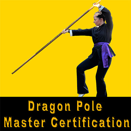 Dragon Pole Master Certification Course