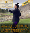 Advanced Sil Lim Tao Master Certification Course