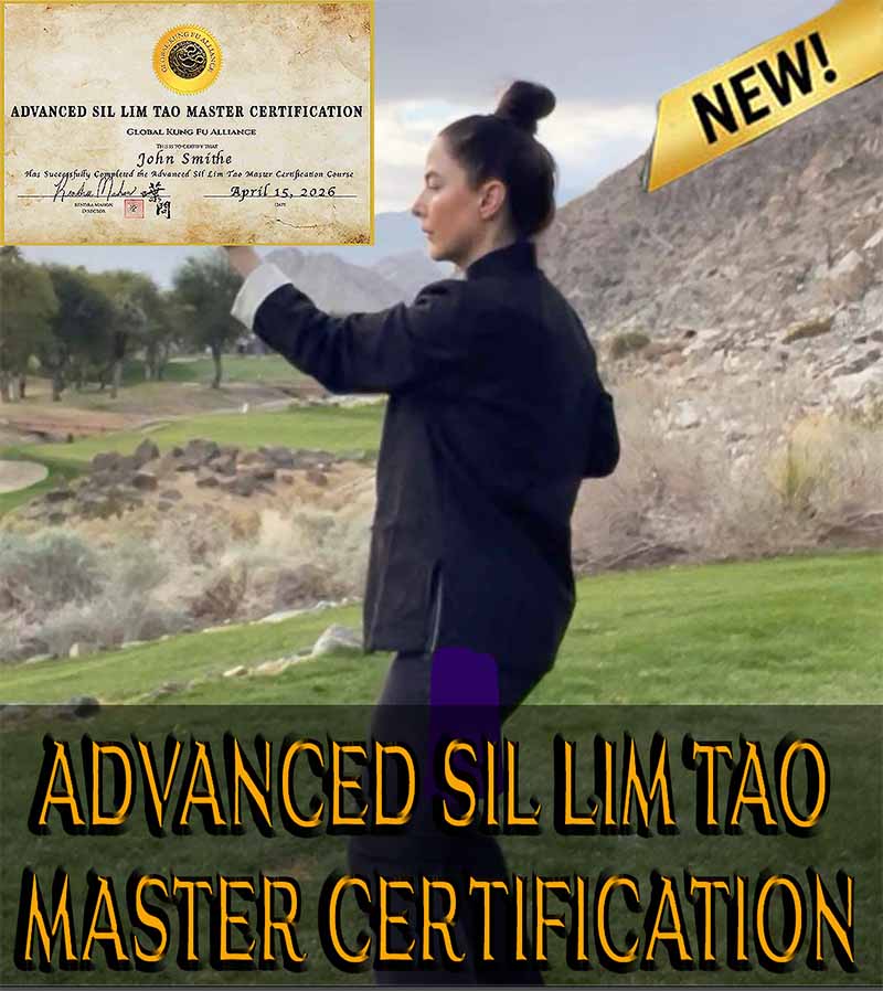 Advanced Sil Lim Tao Master Certification Course