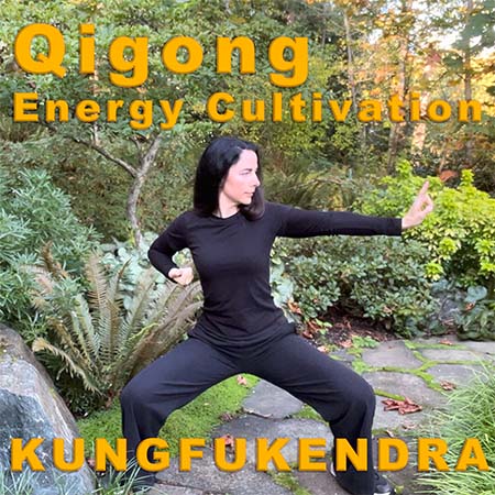 Qigong Energy Cultivation Program