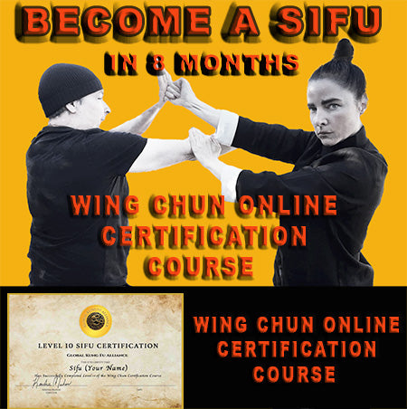 Full Wing Chun Online Sifu Certification Course - Half Price