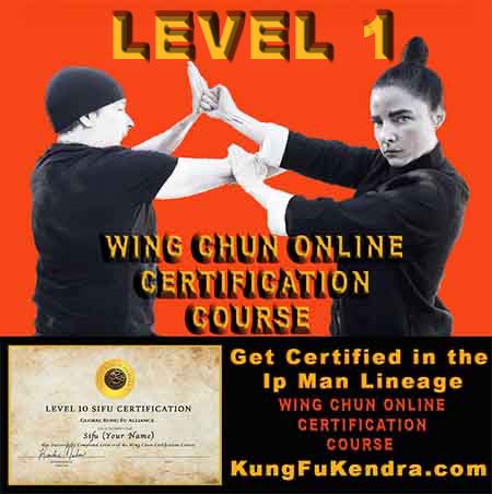 Level 1 - Wing Chun Online Certification Course